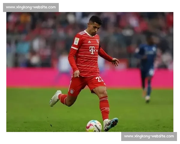 新援威力初显！德甲转会市场再掀波澜