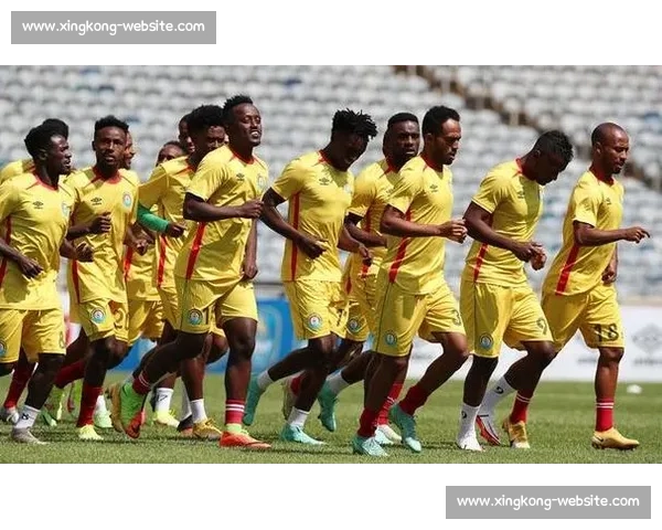 绿茵征途，2026世界杯非洲球队的荣耀之战！